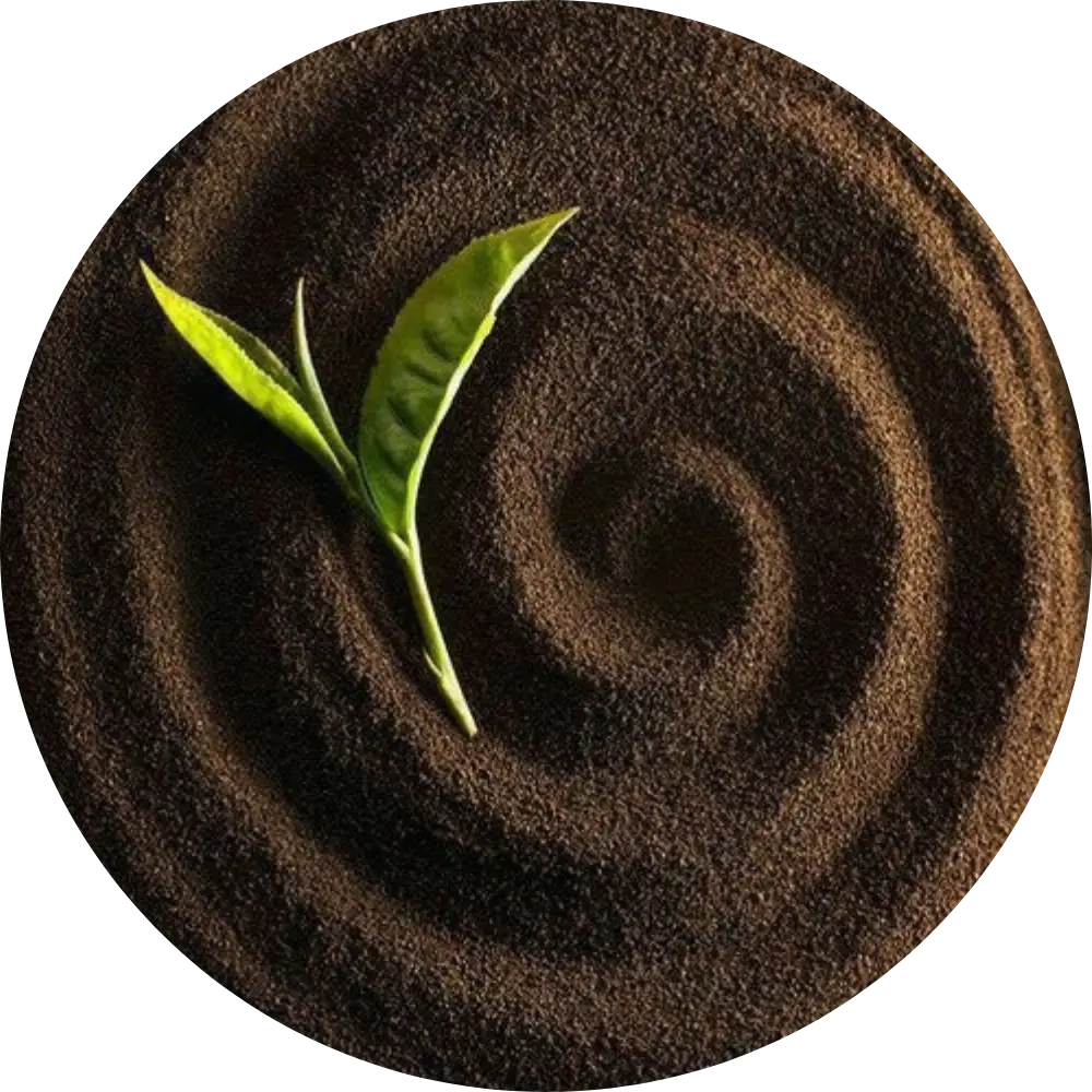 Suolo fertile con pianta in crescita per agricoltura naturale e sostenibile