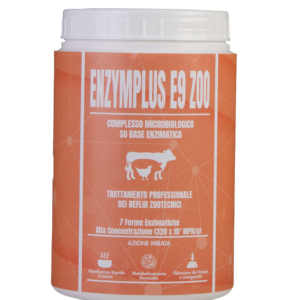 E9 ZOO